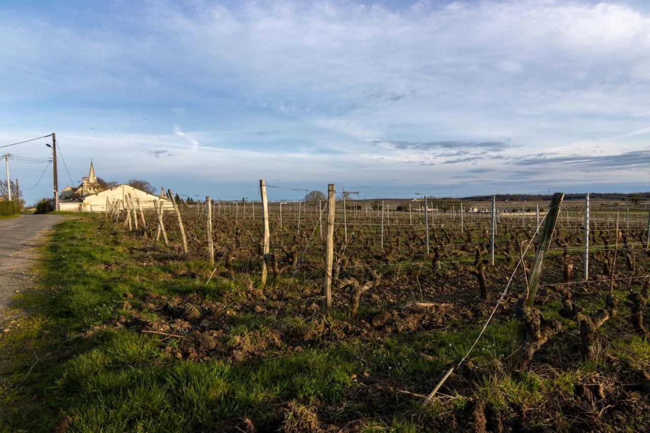 Maison Chaleureuse-Grand Jardin-Proche Saumur Parnay 外观 照片
